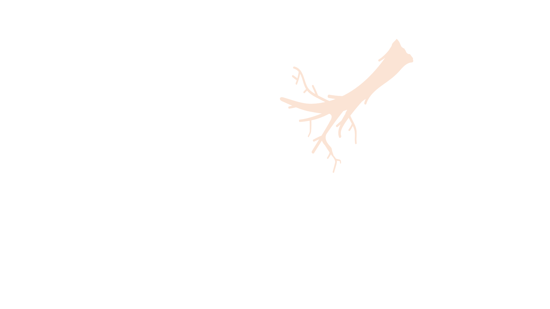 Employer root connection