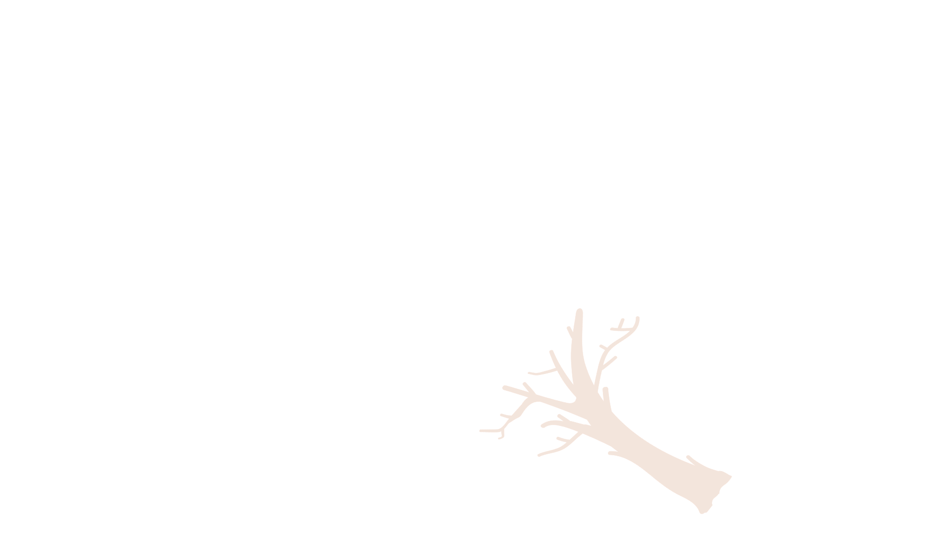 Educator root connection