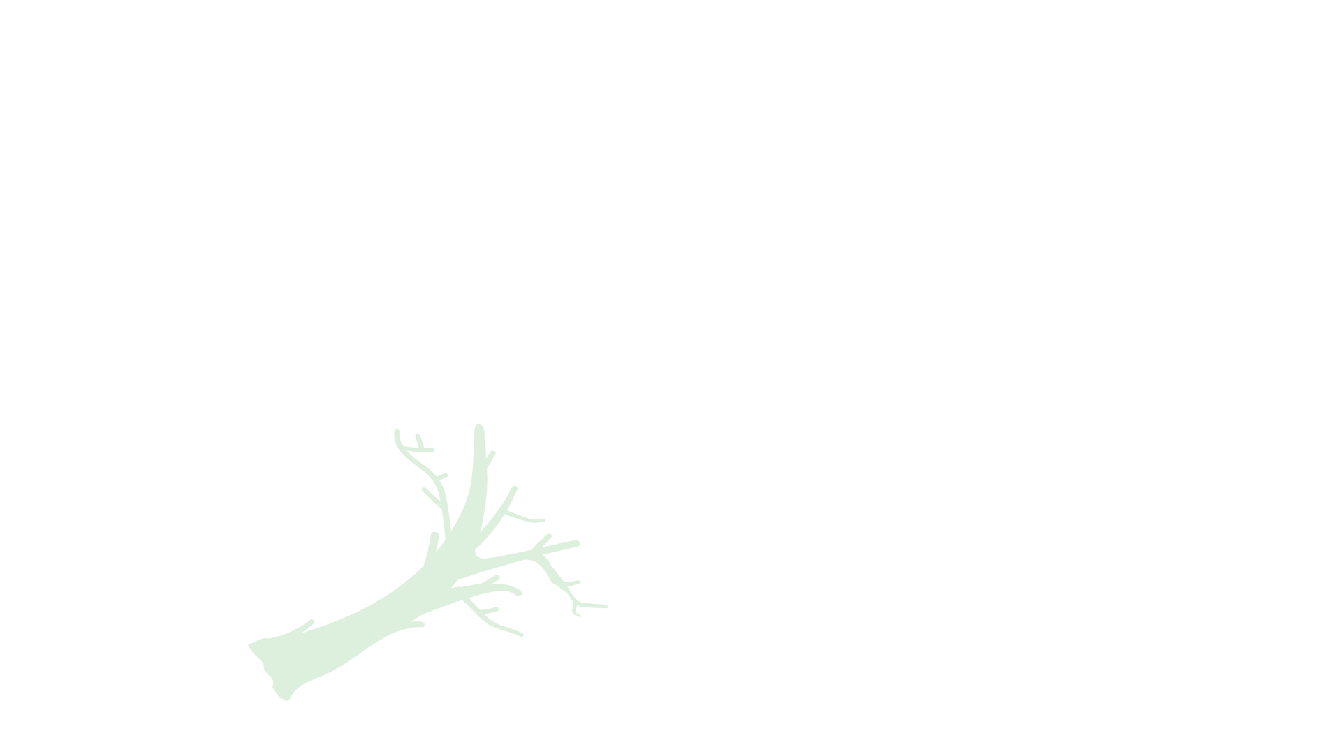 Parent root connection